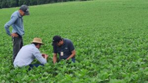 Crise no agronegócio gera atrasos de pagamentos e inadimplência