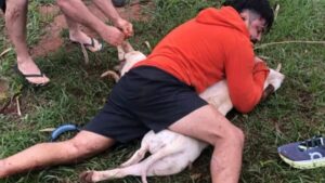 Lutador imobiliza dois pitbulls durante ataque no Mato Grosso do Sul; vídeo Um dos cães mordeu Thai Ernesto na perna